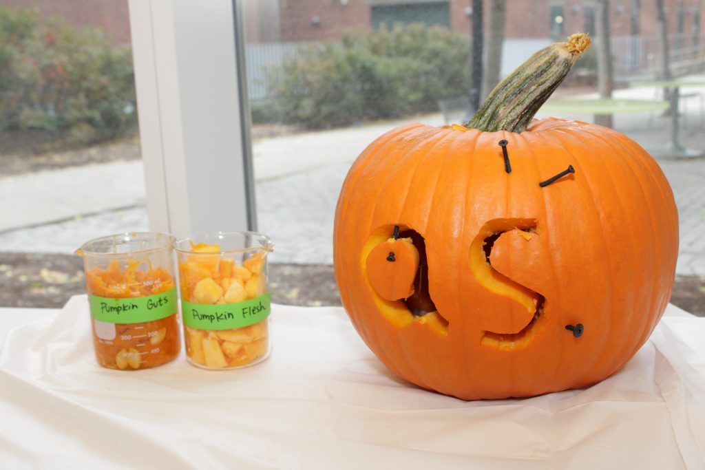 A pumpkin with "QS" carved into it, next to beakers labeled "Pumpkin flesh" and "Pumpkin guts"