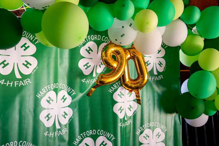 UConn 4-H decorations