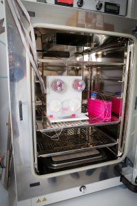 Laboratory incubator containing experimental equipment, tubing, and sample containers.