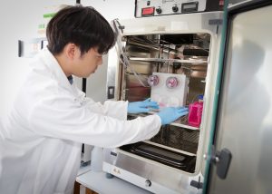 Researcher in a lab coat and gloves works with a tissue-chip system inside a laboratory incubator.