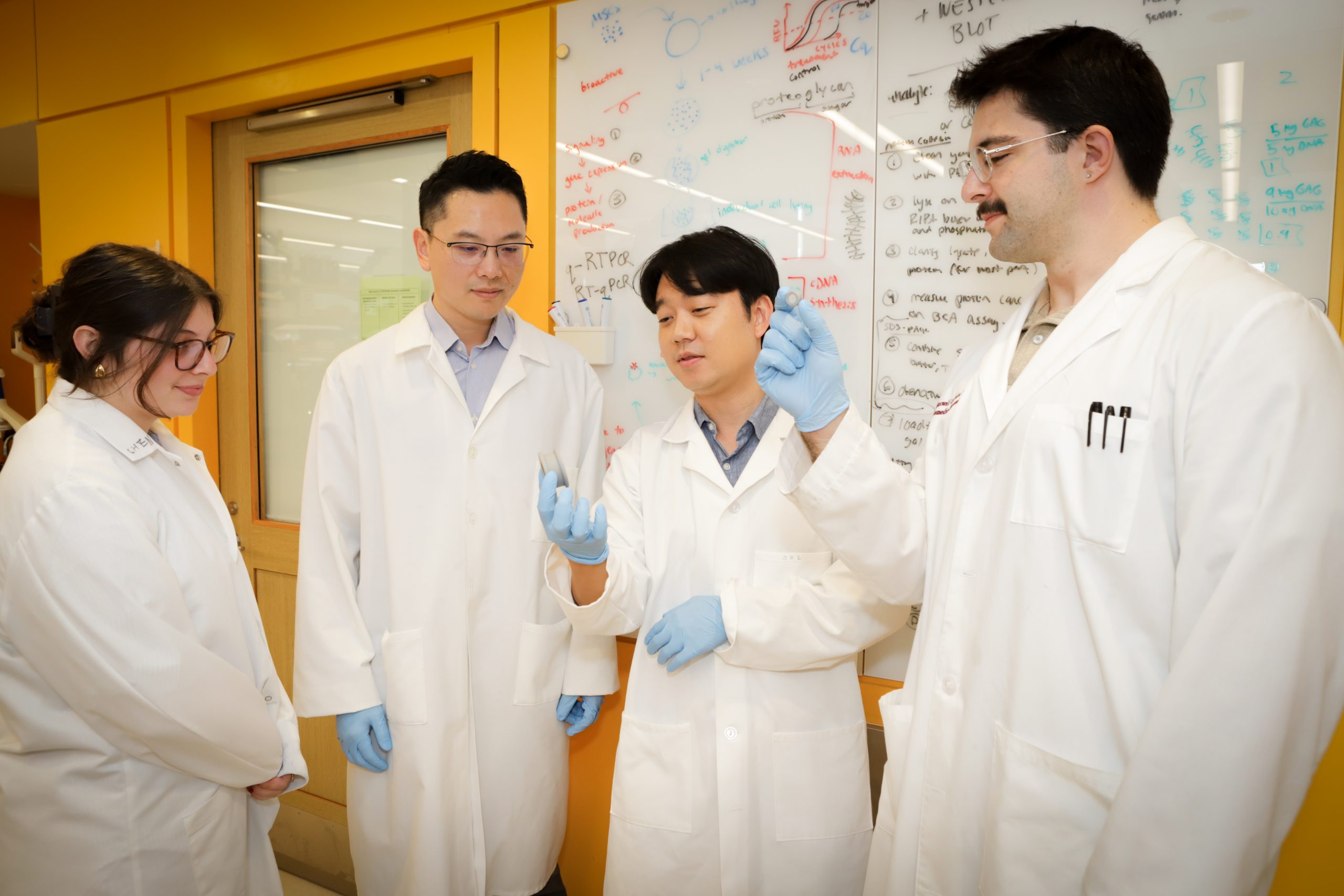 Four researchers in lab coats examine a small sample together in a laboratory.