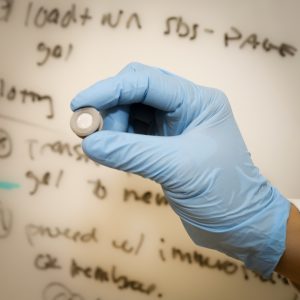 1. Close-up of a gloved hand holding a small laboratory sample.